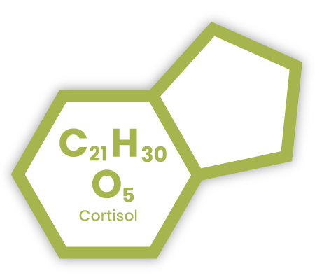 Chemical symbol icon representing Cortisol, with text overlaid "C21H30O5" (molecular formula), and "Cortisol".