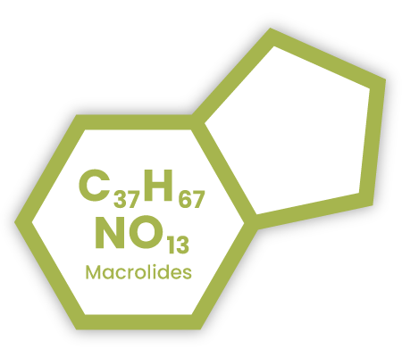 Chemical symbol icon representing Macrolides, with text overlaid "C37H67NO13" (molecular formula), and "Macrolides".