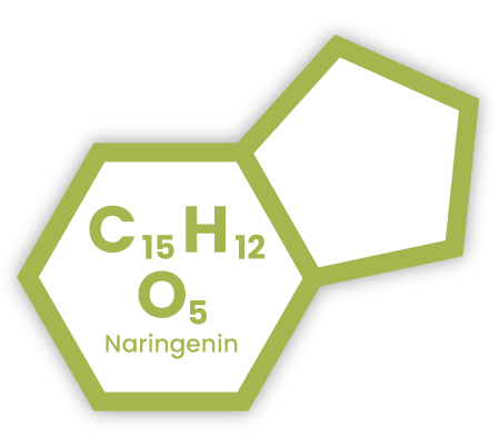 Chemical symbol icon representing Naringenin, with text overlaid "C15H12O5" (molecular formula), and "Naringenin".