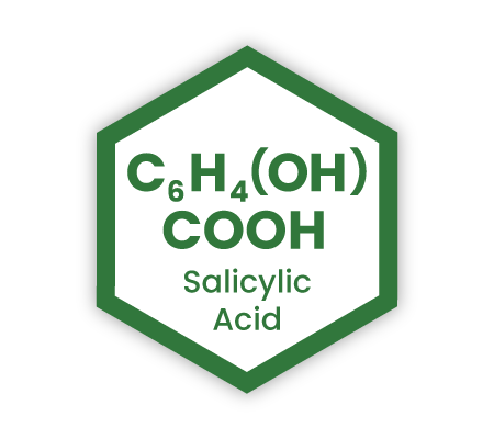 Chemical symbol icon representing Salicylic Acid, with text overlaid "C6H4(OH)COOH" (molecular formula), and "Salicylic Acid".