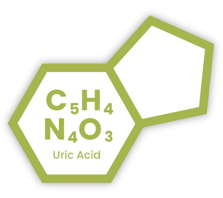 Chemical symbol icon representing Uric Acid, with text overlaid "C5H4N4O3" (molecular formula), and "Uric Acid".