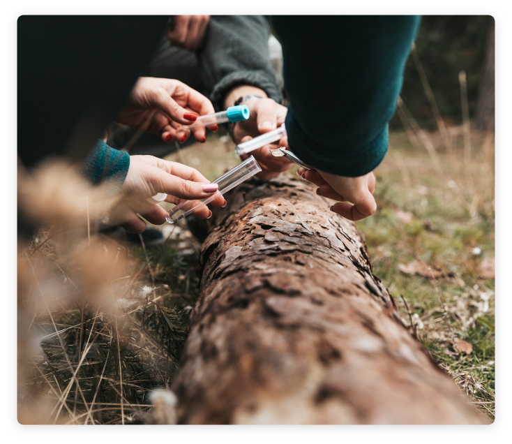 Close up details of individuals in nature, holding various test tubes and using tweezers to take samples of bark from fallen tree.