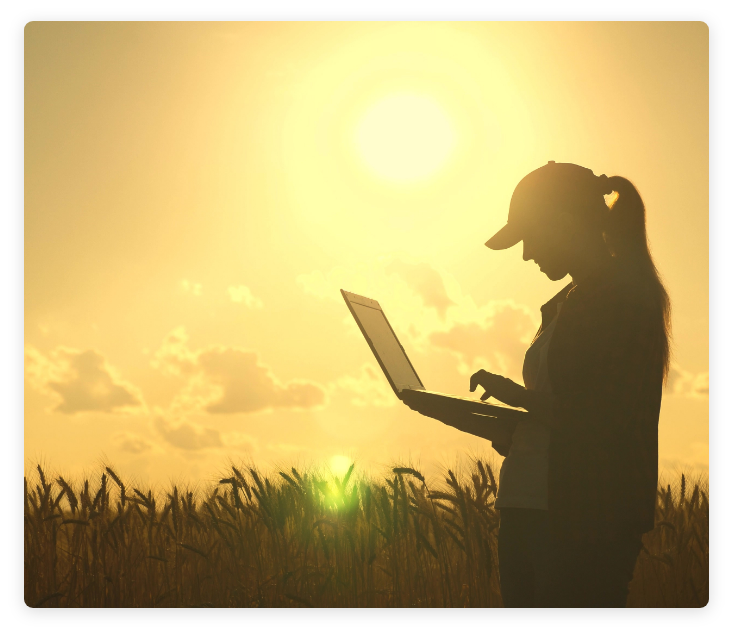 Individual standing in field while holding and typing on laptop computer with sun shining at sunset in background.